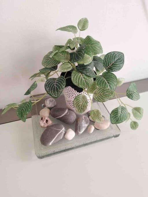 מילאנו Lovely Flat, Super Connected To The Centre,Wifi,4P מראה חיצוני תמונה